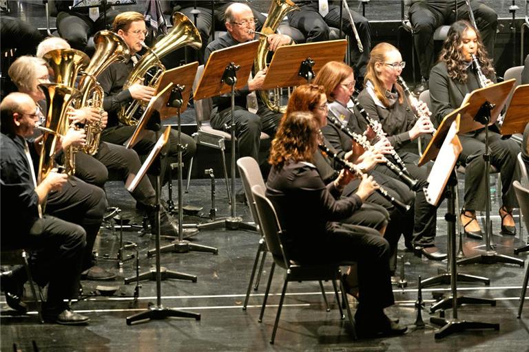 Das Jubiläumsorchester Rems-Murr-Kreis gab sechs Stücke zum Besten. Foto: Alexander Becher
