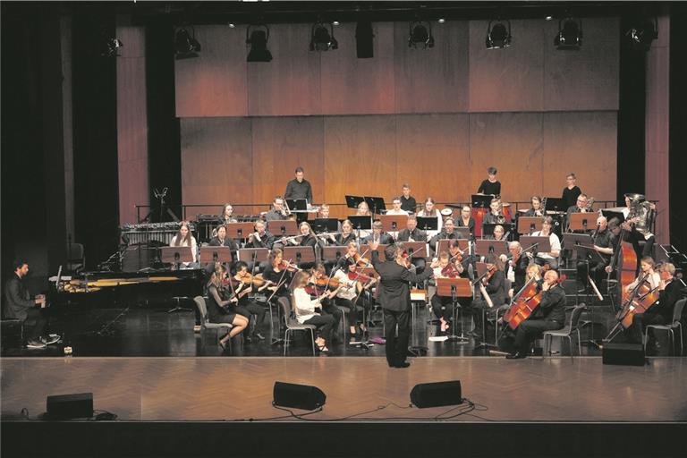 Das Jugendsinfonieorchester überzeugte mit Fingerfertigkeit und Gefühl die Besucher im Walter-Baumgärtner-Saal im Bürgerzentrum. Foto: J. Fiedler