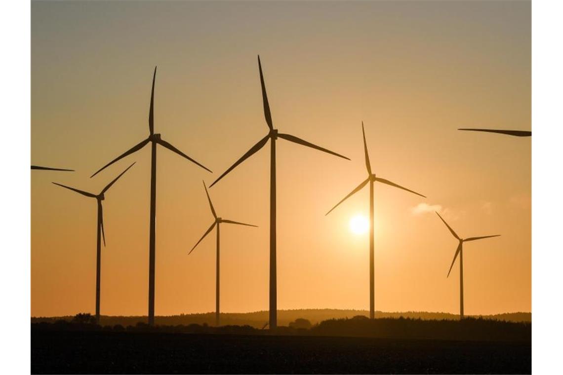 Das Klimapaket soll unter anderem demonstrieren, dass die große Koalition handlungsfähig ist. Foto: Patrick Pleul/dpa-Zentralbild/dpa