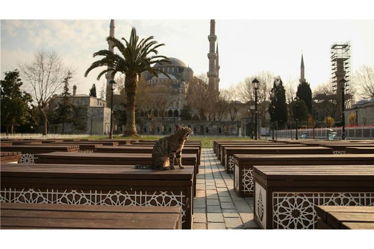 Das Kopftuch ist in der Türkei weiter umstritten, auch abseits von Gebetsstätten wie etwa die Blaue Moschee in Istanbul (Archivbild)