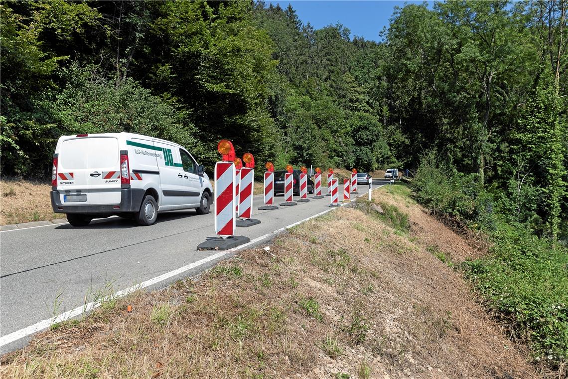 Das Landratsamt betont die Dringlichkeit der Maßnahme: „Ein weiterer Aufschub der Hangsanierung ist nicht mehr möglich.“ Von Montag an ist die Strecke also gesperrt. Foto: J. Fiedler