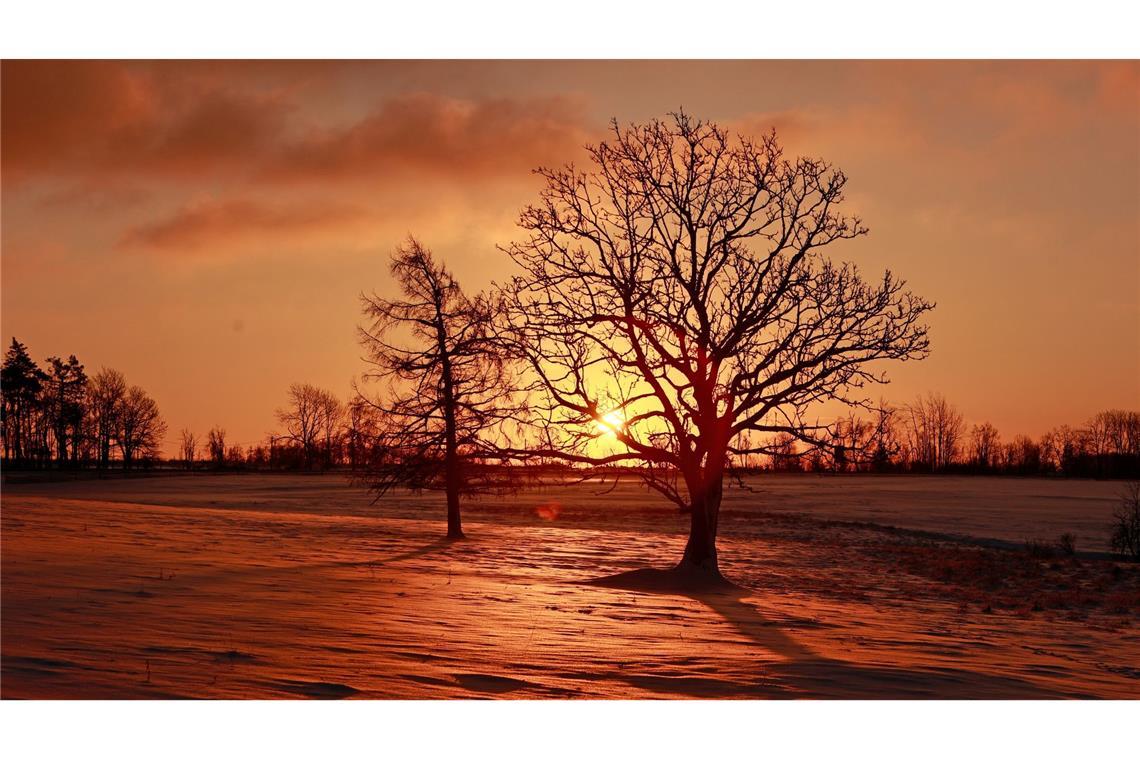Das Licht der aufgehenden Sonne taucht die Winterlandschaft im Oberharz bei Stiege in ein warmes Licht.