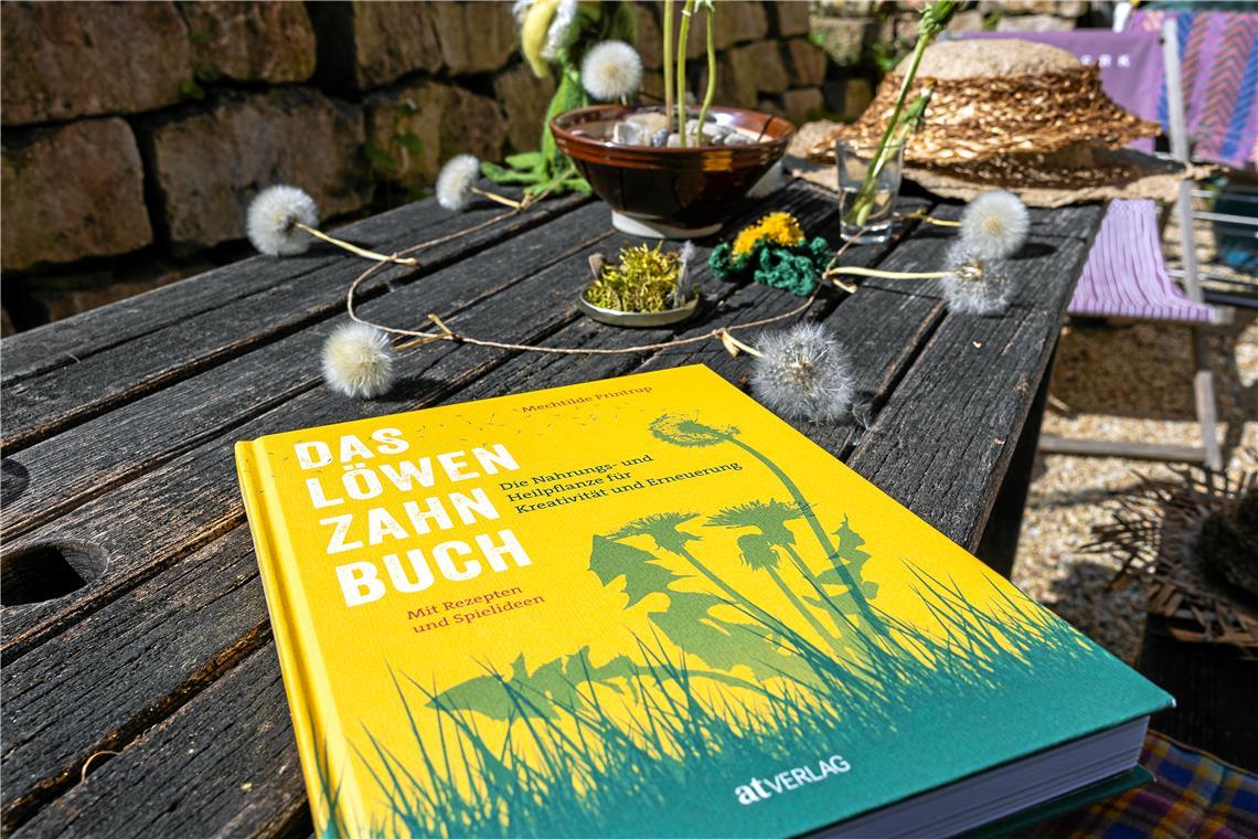 Das Löwenzahnbuch ist im März erschienen.