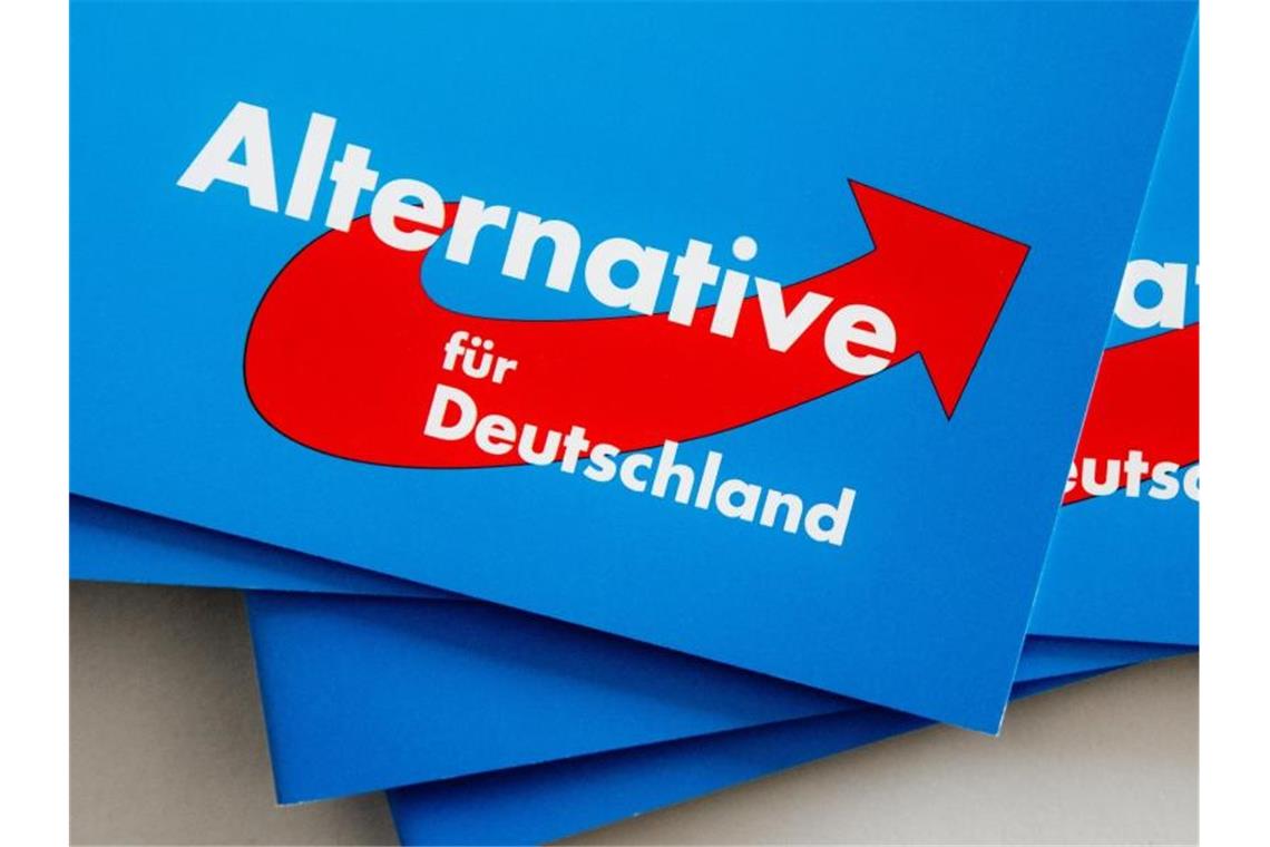 Das Logo der Alternative für Deutschland (AfD) ist auf Parteibroschüren zu sehen. Foto: Markus Scholz/dpa/Archivbild