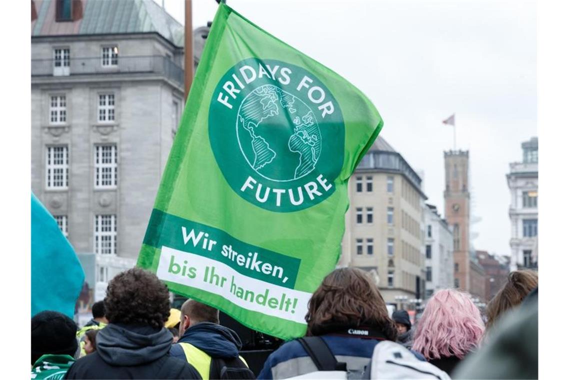 Das Logo von Fridays for Future ist auf einer Flagge während einer Demonstration zu sehen. Foto: Markus Scholz/dpa/Symbolbild