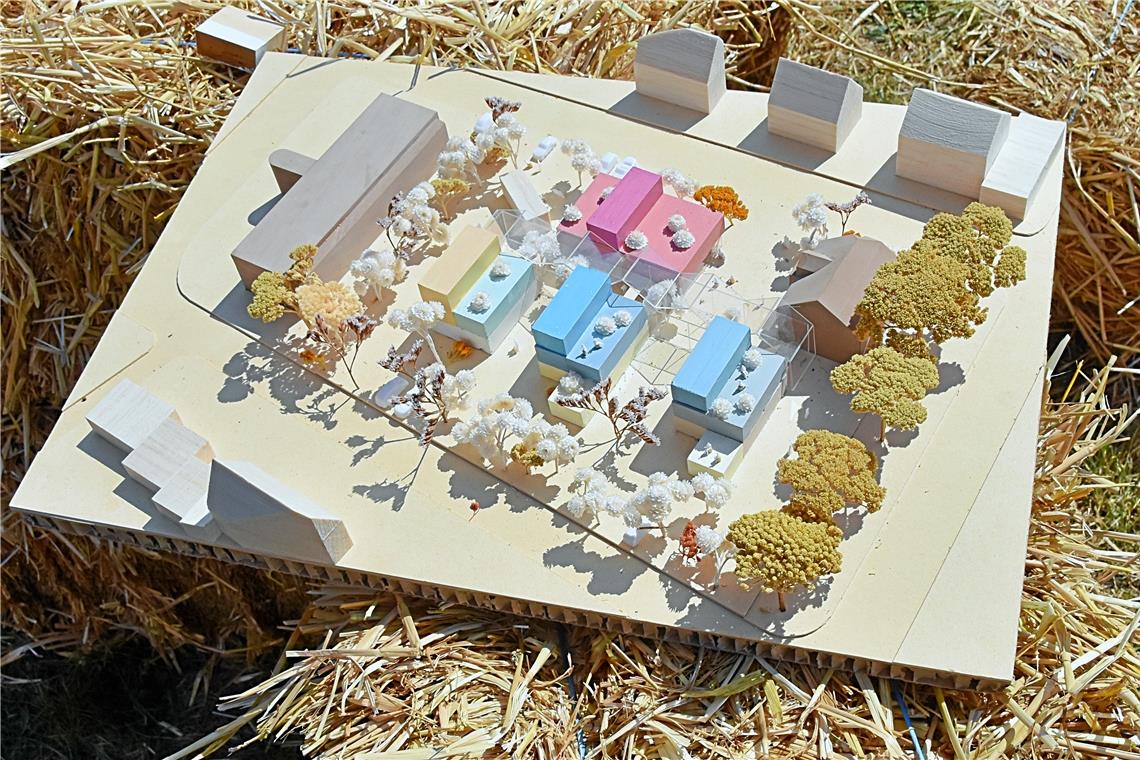Das Modell des Projekts, das Im Blütengarten in Backnang realisiert werden soll.