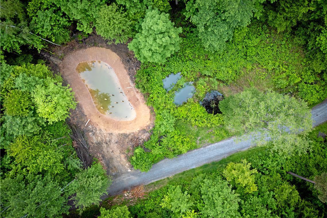 Das neue Biotop im Plattenwald aus der Vogelperspektive. Wenn der Teich voll befüllt ist, wird er der Natur überlassen. Die Uferzone wächst dann wieder zu und bietet den Amphibien Schutz vor Fressfeinden. Fotos: Alexander Becher