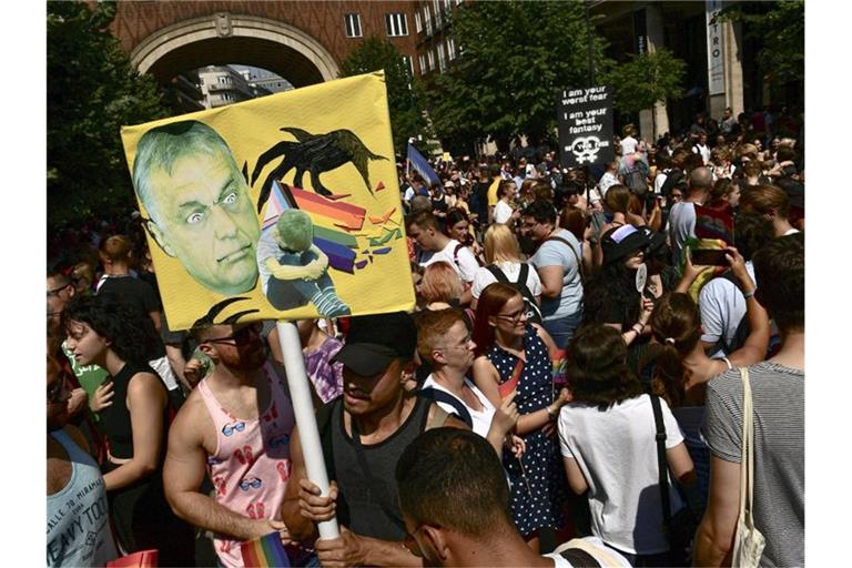 Das neue Gesetz Orbans hatte im In- und Ausland für Proteste gesorgt. Foto: Anna Szilagyi/AP/dpa
