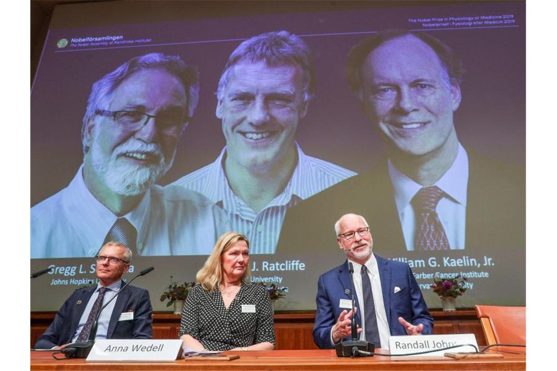 Medizin-Nobelpreis für Sauerstoff-Forschung Das Nobelkomitee in Stockholm präsentiert die Medizin-Nobelpreisträger: Gregg Semenza (auf Leinwand l-r), Peter Ratcliffe und William Kaelin. Foto: Zheng Huansong/XinHua/dpa