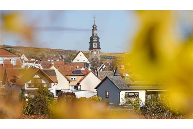 Das Örtchen Kallstadt in der Pfalz: von hier stammen Donald Trumps Großeltern.
