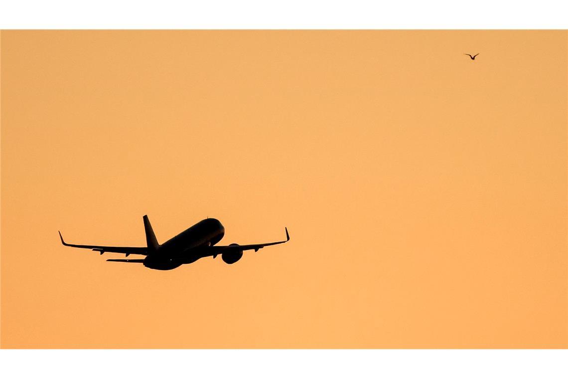 Das Paar soll sich auf dem Flug zwischen Panama und Argentinien kennengelernt haben. (Symbolbild)