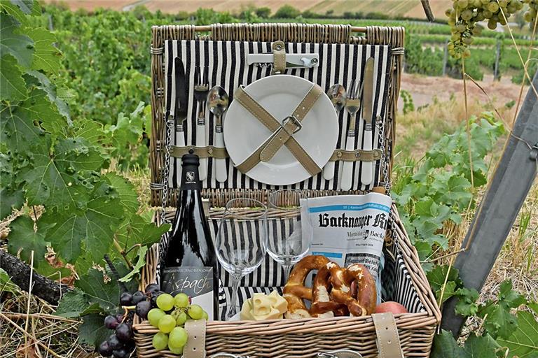 Das Picknickplätzchen auf dem Föhrenberg in Aspach lädt zu einer besonderen Auszeit ein. Foto: Tobias Sellmaier