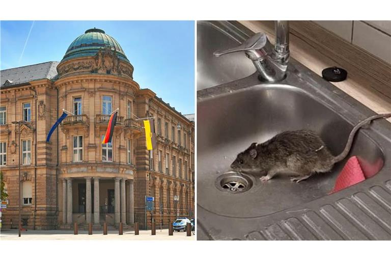 Das Polizeirevier am Karlsruher Marktplatz wurde von einer Ratte heimgesucht.