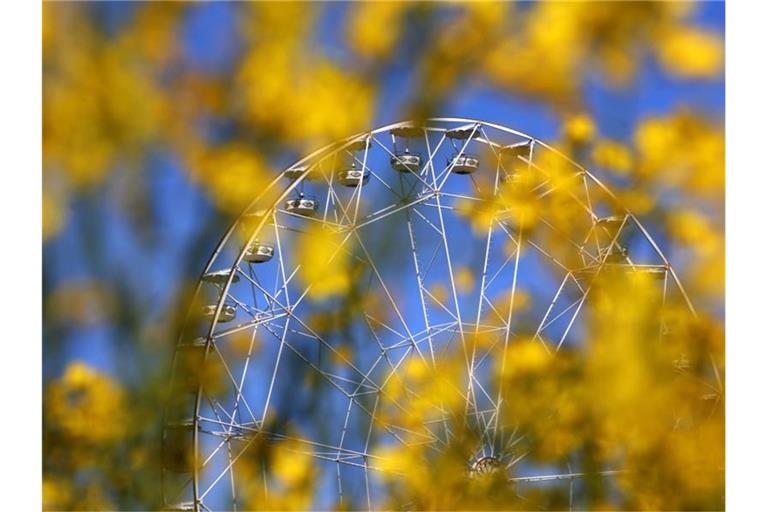 Das Riesenrad eines Freizeitparks steht hinter blühendem Raps. Foto: Karl-Josef Hildenbrand/dpa