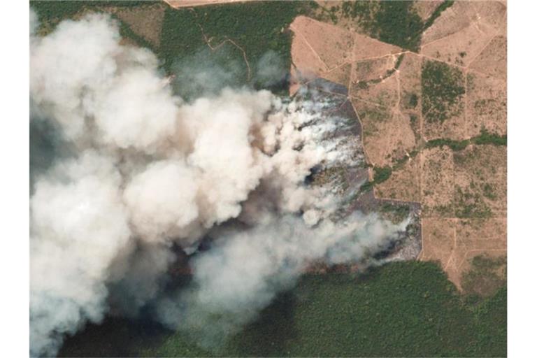Das Satellitenbild zeigt die Brände in den betroffenen Regionen in dem brasilianischen Bundesstaat Pará. Foto: Planet Labs Inc.