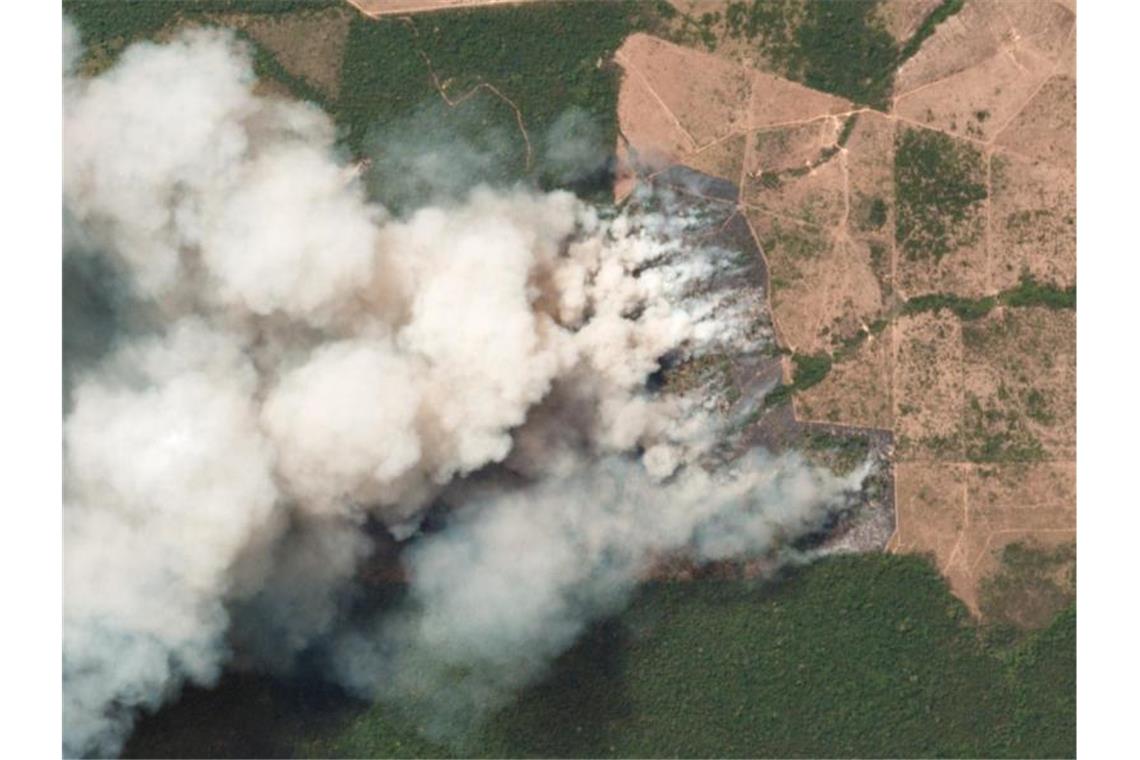 Das Satellitenbild zeigt die Brände in den betroffenen Regionen in dem brasilianischen Bundesstaat Pará. Foto: Planet Labs Inc.