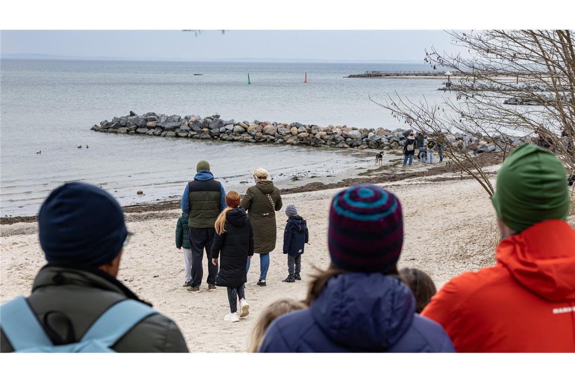 Buckelwal vor Timmendorfer Strand weiter in Not