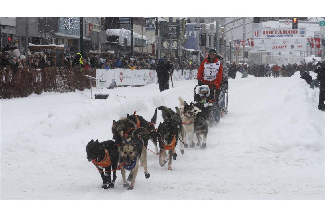 Das Schlittenhunderennen Iditarod ist gestartet.