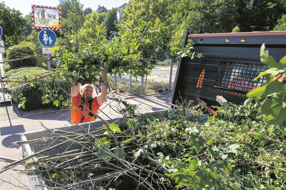 Harte Arbeit in der prallen Sonne Das Schnittgut wird zum Bauhof gebracht und dort weiterverarbeitet.