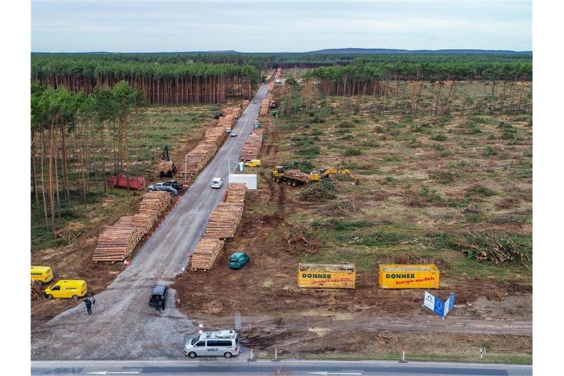 Gericht: Tesla muss Waldrodung in Grünheide vorerst stoppen Das schon teilweise gerodete Waldgebiet auf dem künftigen Gelände der Tesla Gigafactory. Foto: Patrick Pleul/dpa-Zentralbild/dpa