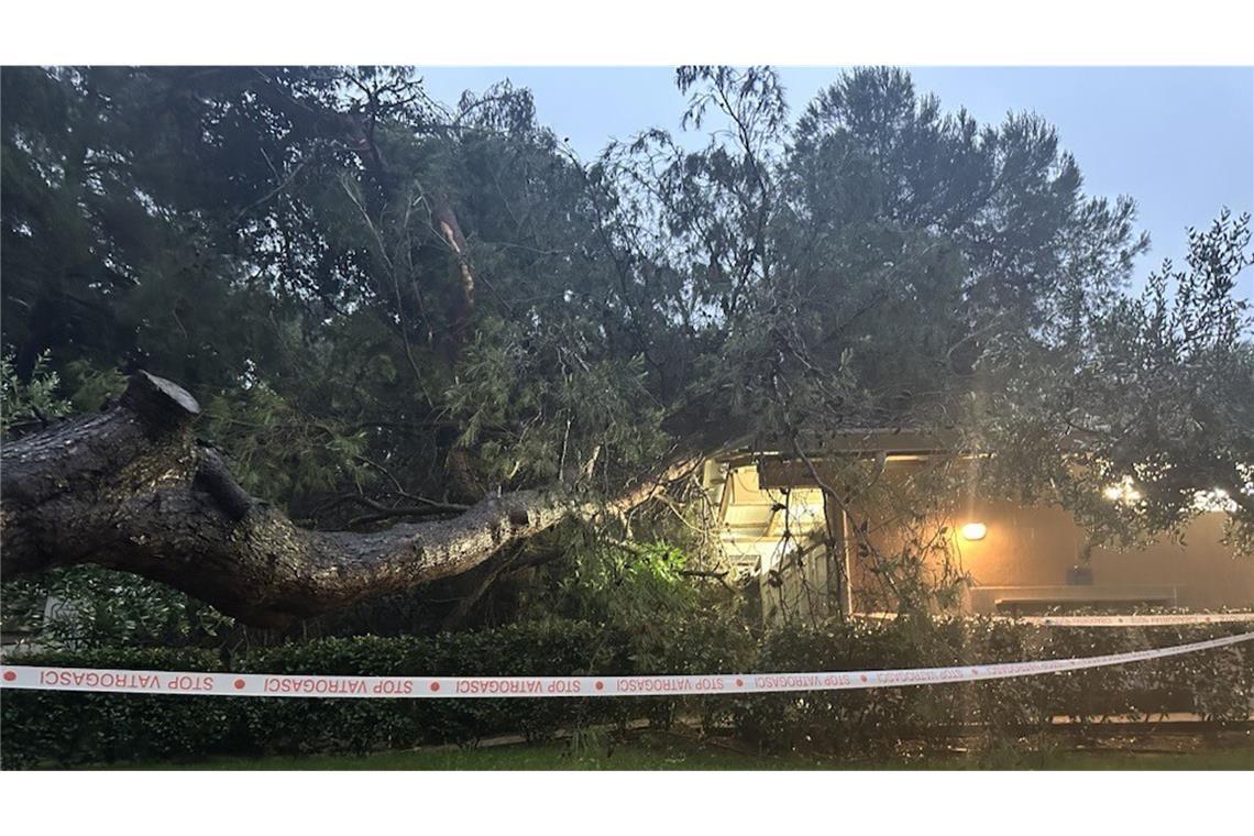 Schwere Gewitter verwüsten beliebte kroatische Ferienregion Das schwere Unwetter in Istrien hat Pula Bäume entwurzelt – wie hier bei Pula – und für Überschwemmungen gesorgt.