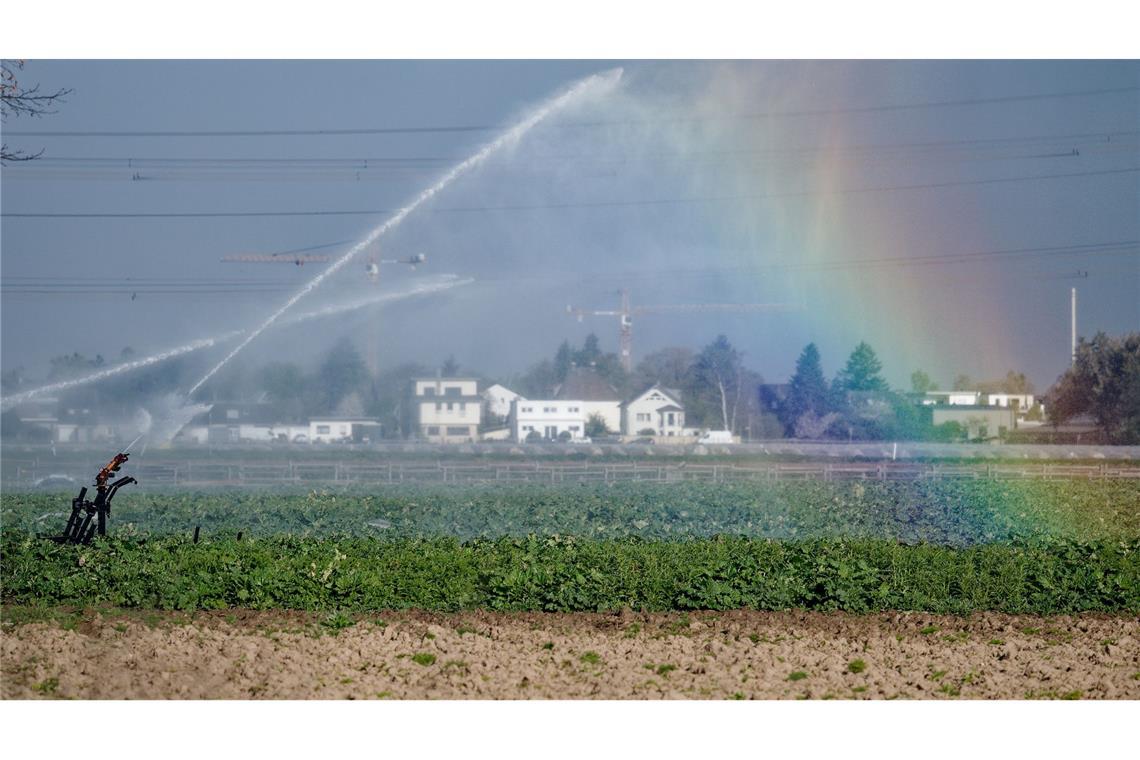 Oft über 20 Grad und endlich Regen: Wetter schwingt um