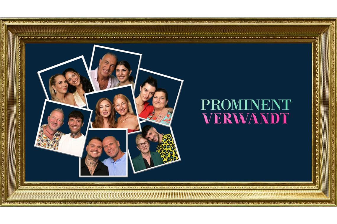 Das sind die Teams der ersten Staffel!