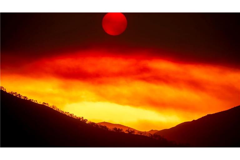 Das sogenannte "Gifford Fire" wütet im Los Padres National Forest, einem Waldgebiet nördlich von Santa Barbara.