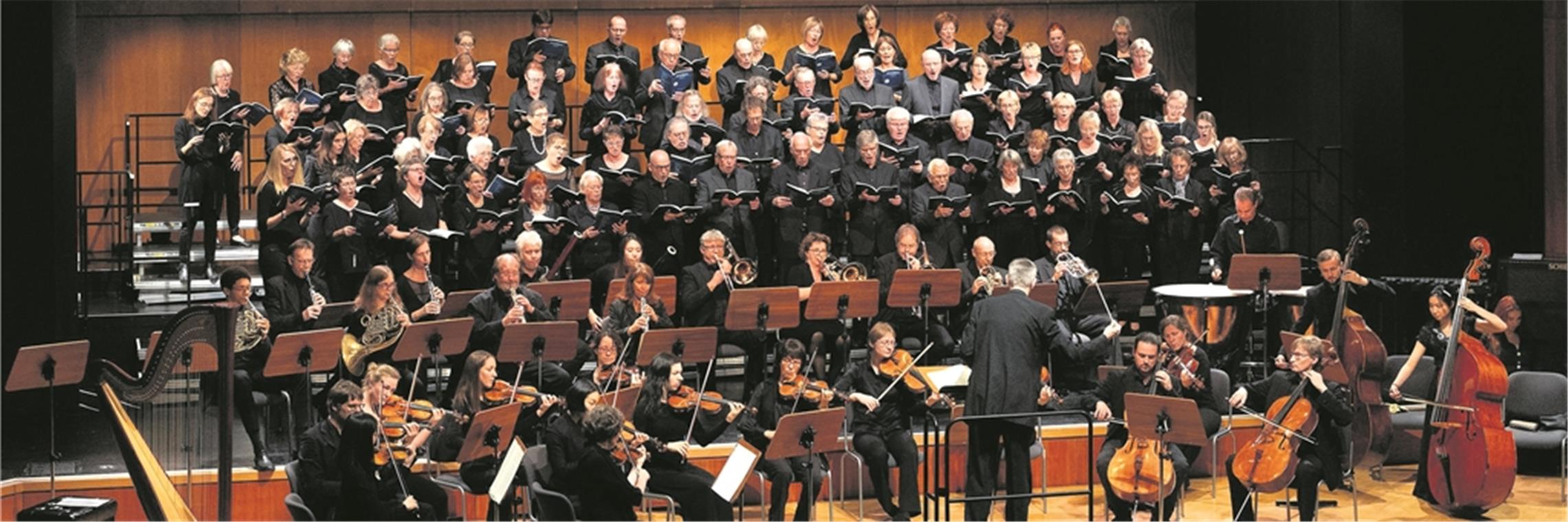 Das Stuttgarter Orchester „musica viva“ unter Dirigent Reiner Schulte führte Mahlers Werk mit der gebotenen Empfindsamkeit auf. Foto: J. Fiedler
