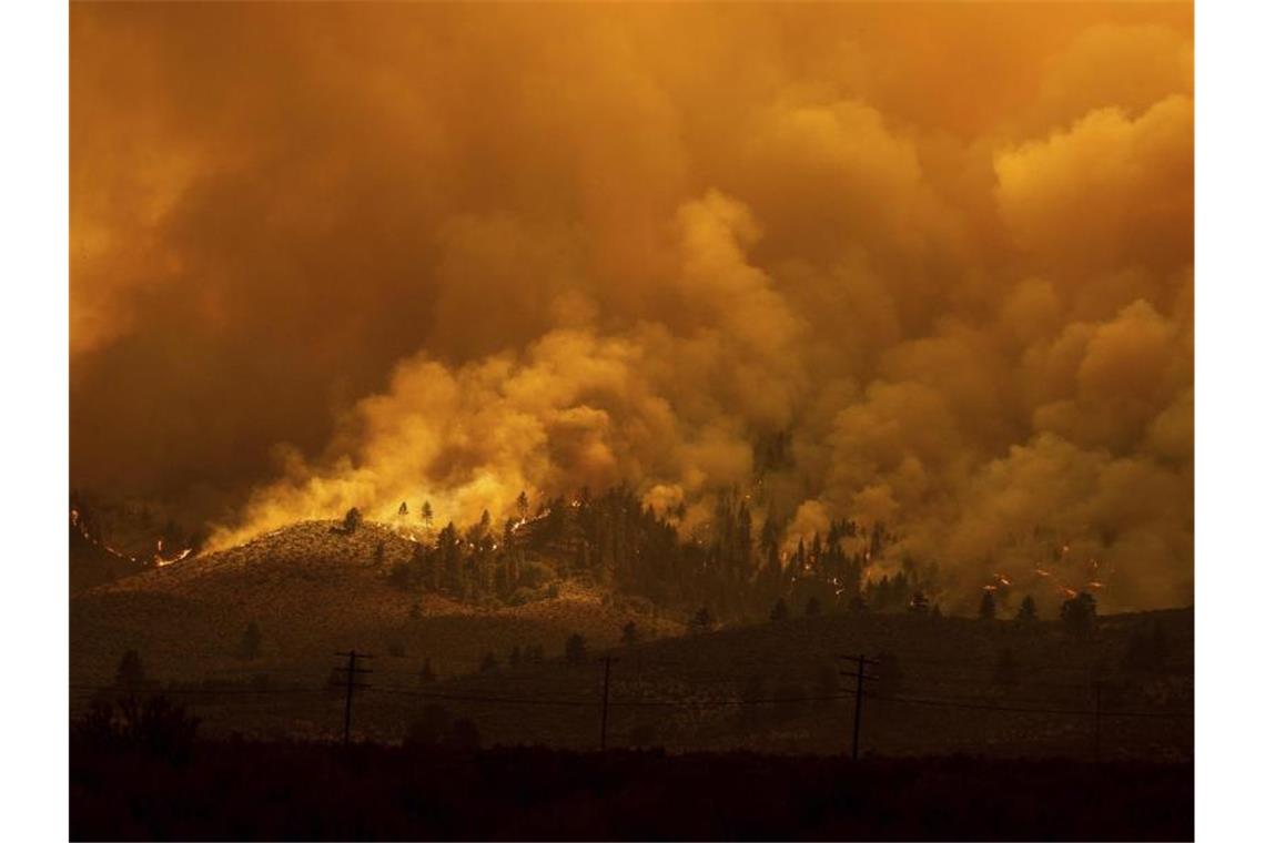 Weiter extreme Hitze im Westen der USA Das Sugar Fire wütet in Doyle im US-Bundesstaat Kalifornien. Foto: Noah Berger/AP/dpa