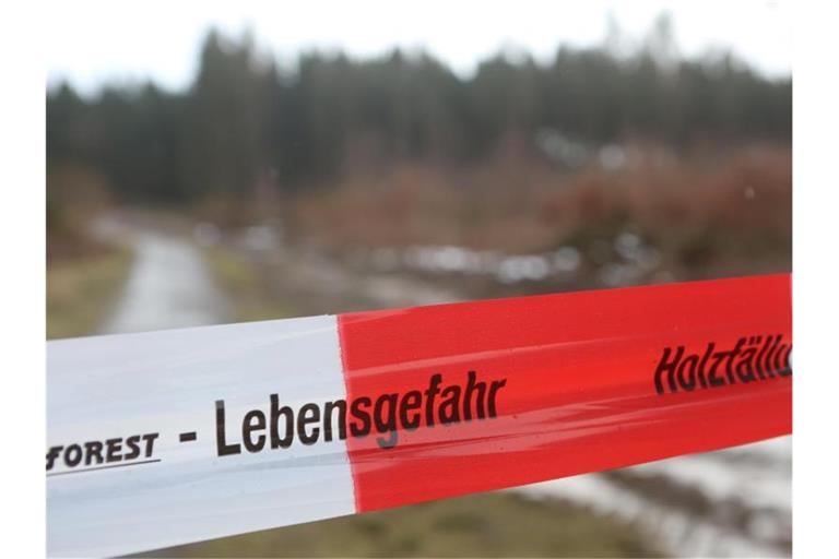 Das Symbolbild zeigt Flatterband vor einem Holzlager. Foto: Matthias Bein/dpa-Zentralbild/dpa
