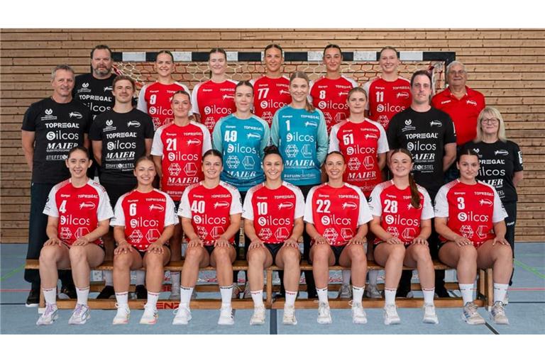 Das Team des TSV Wolfschlugen 2026/2027, hinten von links: Sportlicher Leiter Oliver Rieker, Meike Wurster, Nina Dierolf, Franziska Kaupp, Jasmin Dirmeier, Leni Blessing, Abteilungsleiter Wolfgang Stoll. Mitte von links: Mitte von links: Torwarttrainer Michael Blessing, Physiotherapeut Max Koschmieder, Jana Lorenz, Kim Grebe,Monik Thiemann, Luisa Allgaier, Trainer Mike Laibbsle, Co-Trainerin Silke Zindorf. Vorne von links: Laura Aurenz, Carla Kösling, Jade Oral, Antonia Amann, Hanna Hoyczik, Mara Kühnel, Lani Fellberg. Es Fehlen: Maike Wohnus, Meike Schmied, Tamara Andreas.