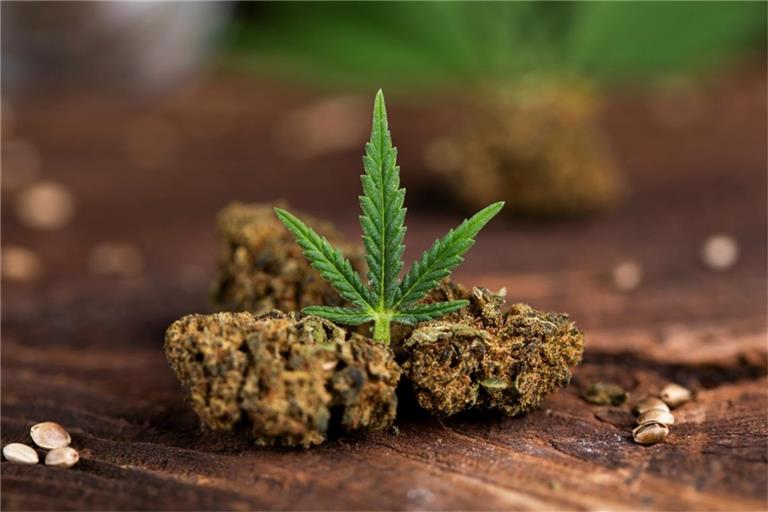 Das Thema "Cannabis" könnte zum Streitthema unter den Parteien werden.