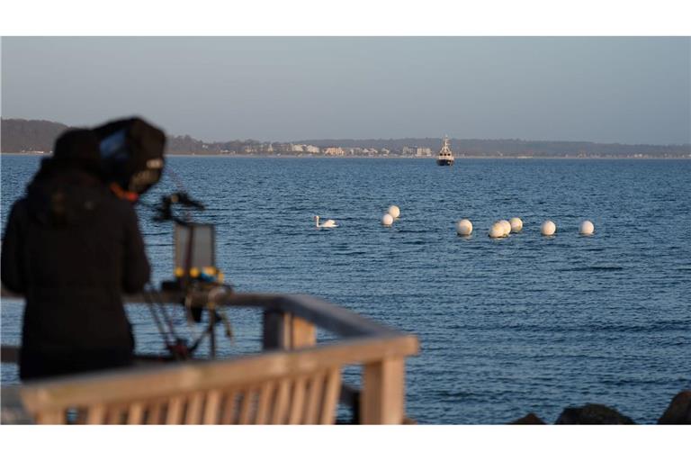 Das Tier ist an der Ostseeküste vor Timmendorfer Strand nicht mehr zu sehen.