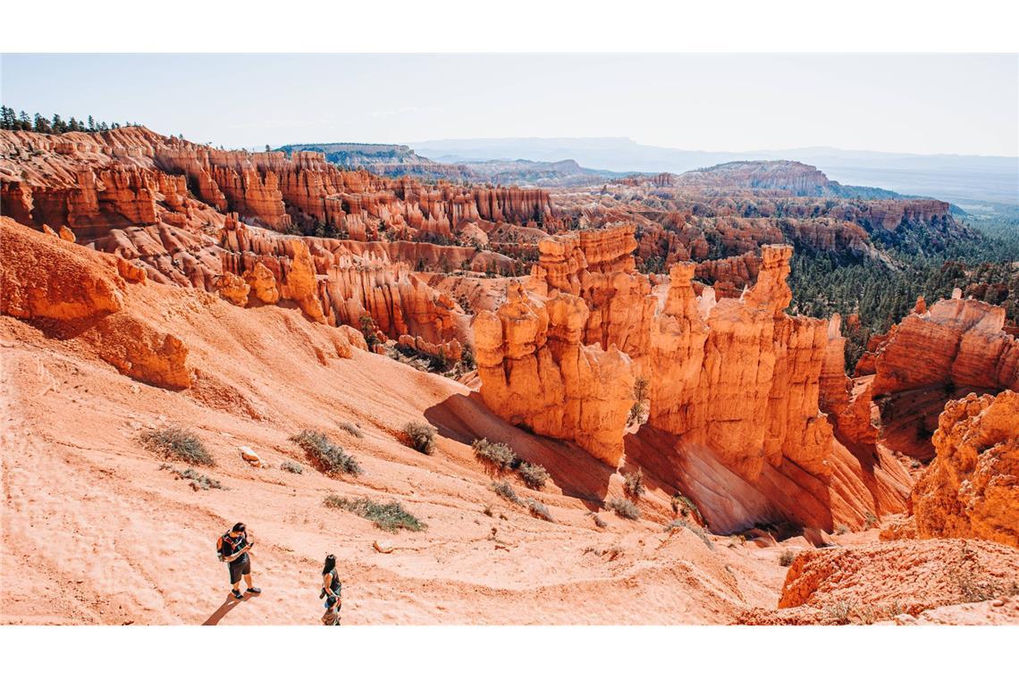 Ehepaar stürzt in Nationalpark in den Tod – Katze überlebt Das Tier wurde im Bryce Canyon Nationalpark neben den Leichen zweier Menschen gefunden. (Symbolbild)