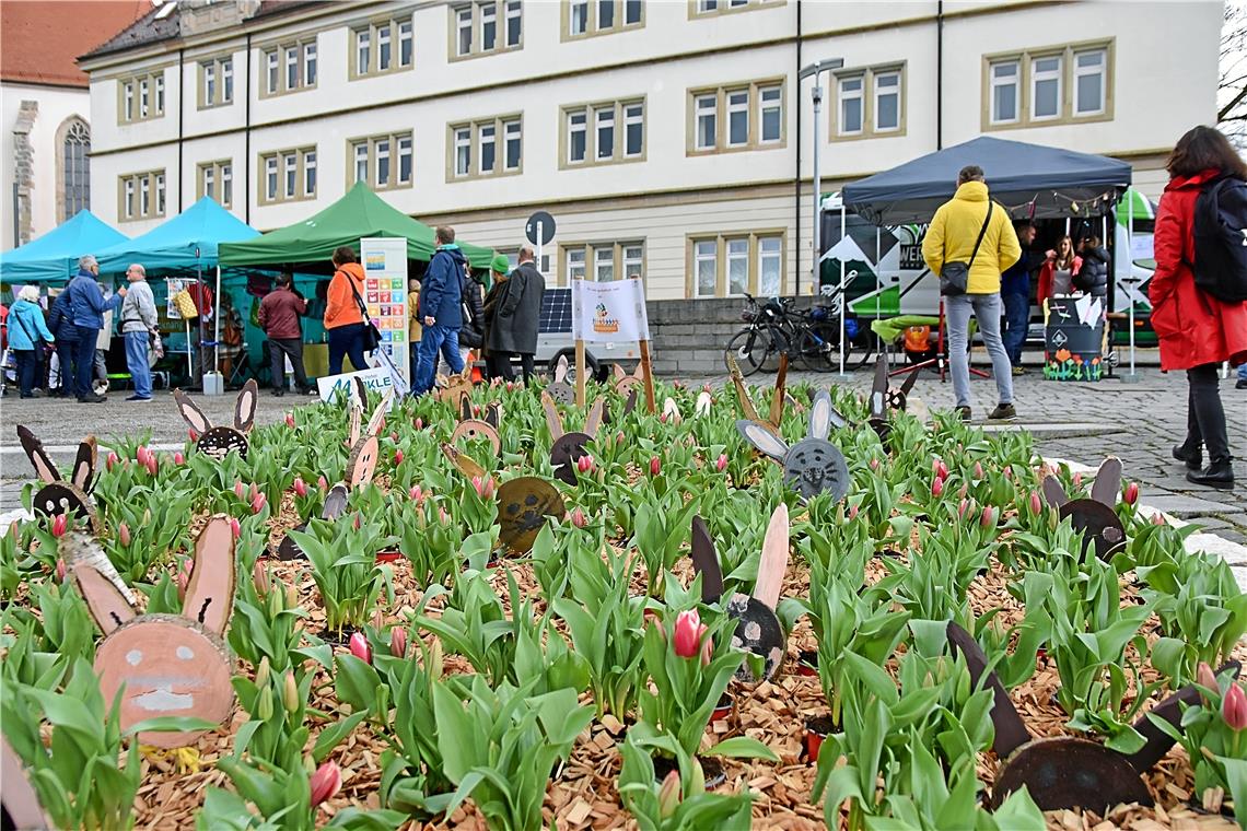 Das Tulpenbeet am Nachhaltigkeitsmarkt wurde von der Schillerschule gestaltet. 