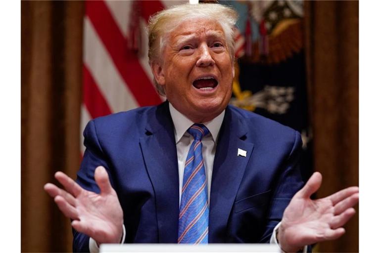 „Das übergeordnete Ziel ist, dass wir Recht und Ordnung wollen“, sagt Donald Trump. Foto: Evan Vucci/AP/dpa