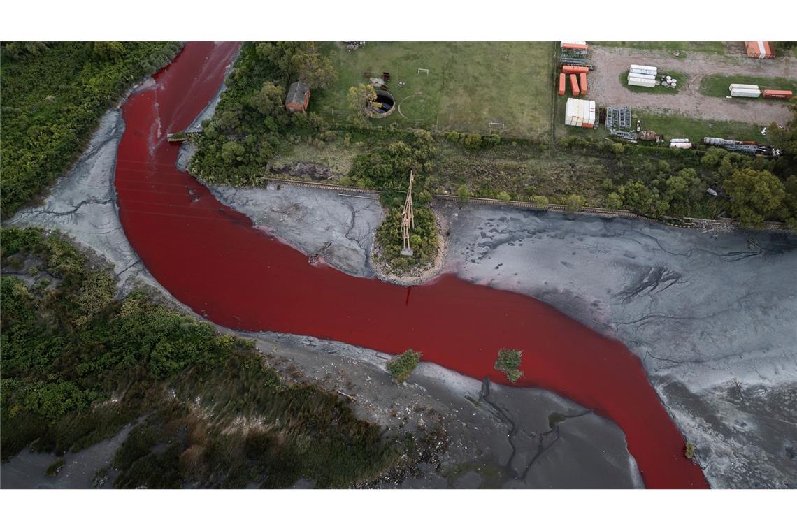 "Fluss aus Blut": Bach in Argentinien färbt sich rot Das Umweltministerium der Provinz Buenos Aires entnahm Wasserproben zur chemischen Analyse.