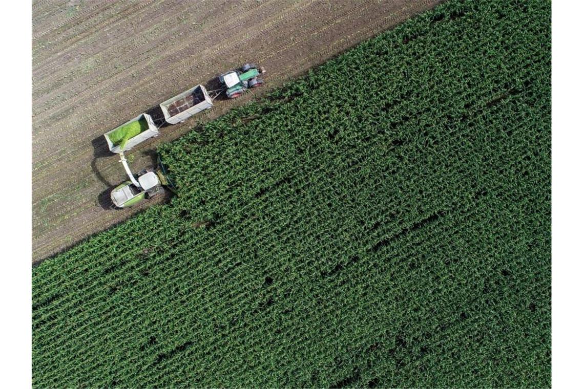 EU-Agrarreform nimmt große Hürde - Aufbruch oder weiter so? Das Urteil der Umweltverbände auf den EU-Kompromiss zur Agrarreform fällt unisono vernichtend aus. Foto: Patrick Pleul/dpa-Zentralbild/dpa