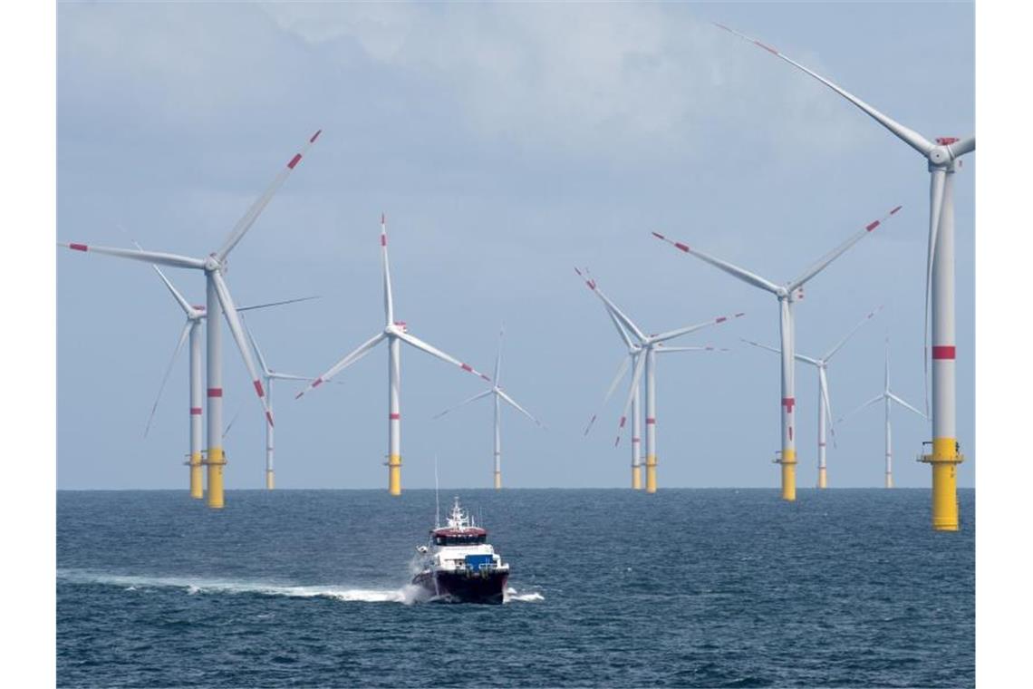 Das Versetzboot „Detector“ fährt durch den Offshore-Windpark „Nordsee 1“ vor der ostfriesischen Insel Spiekeroog. Foto: picture alliance / Ingo Wagner/dpa