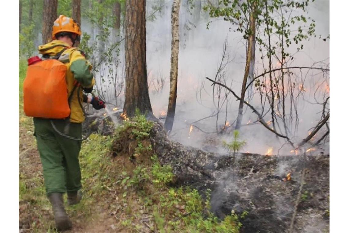 Erste Erfolge im Kampf gegen Waldbrände in Sibirien