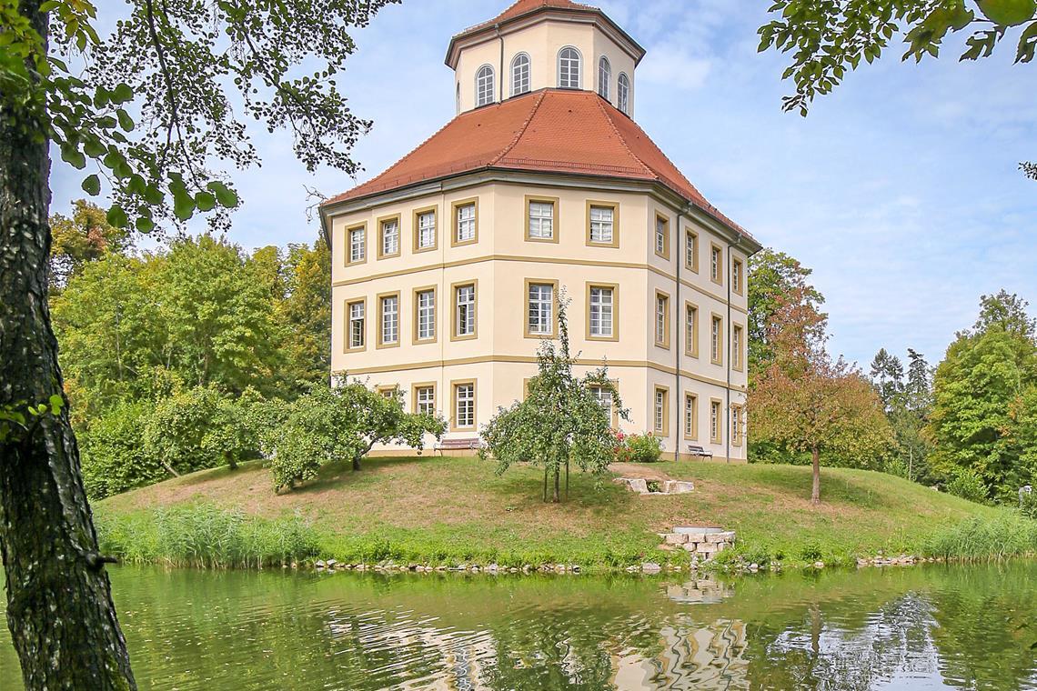 Das viele Grün rund um den Schlosssee sieht zwar schön aus und bietet Schatten, trägt aber auch zur Schlammbildung bei. Foto: Alexander Becher