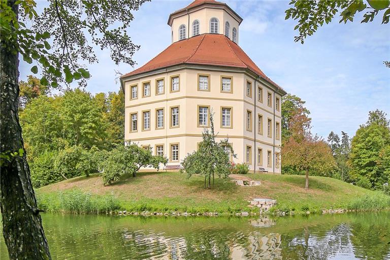 Das viele Grün rund um den Schlosssee sieht zwar schön aus und bietet Schatten, trägt aber auch zur Schlammbildung bei. Foto: Alexander Becher
