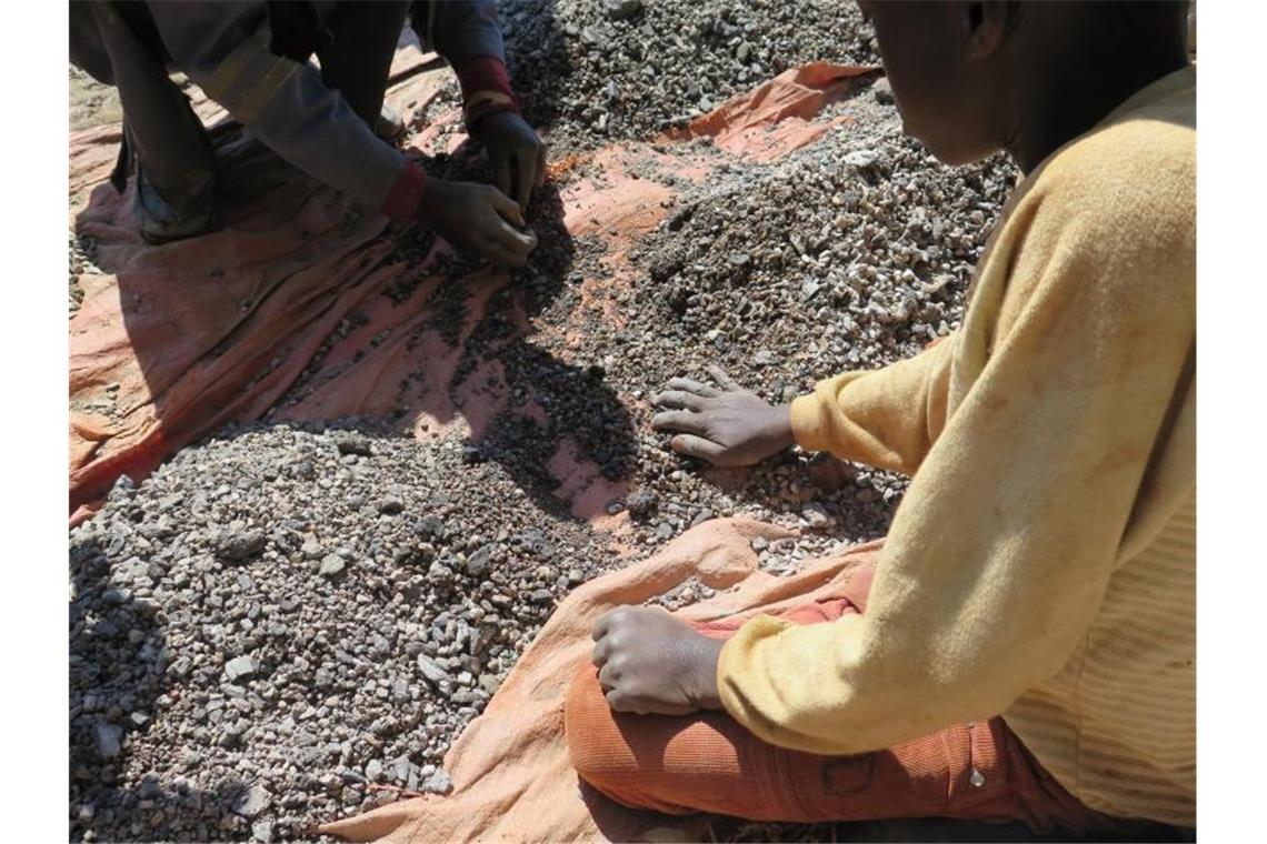 Das von Amnesty International zur Verfügung gestellte Bild zeigt Kinder, die in einer Kobaltmine Steine sortieren. Foto: Amnesty International/Amnesty International/Afrewatch/dpa
