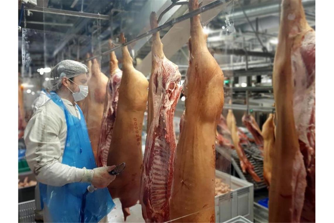 Tönnies darf wieder Schweine zerlegen Das von der Firma Tönnies zur Verfügung gestellte Foto zeigt Mitarbeiter, die an ihren Arbeitsplätzen von Plexiglasscheiben voneinander getrennt von Tönnies geschlachtete Schweine im Stammwerk des Betriebes zerlegen. Foto: Tönnies/dpa