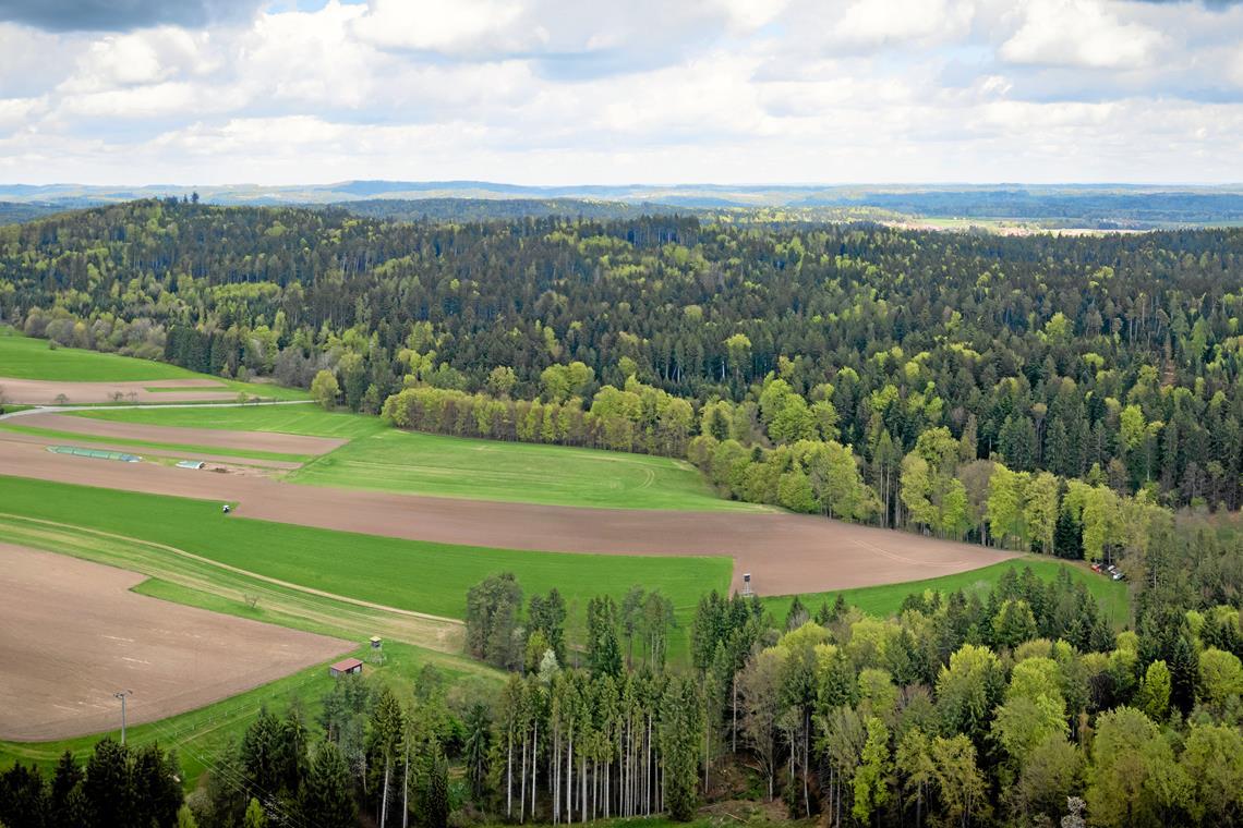 Das Waldgebiet Ochsenhau ist für die Bürgerinnen und Bürger von Althütte – hier am Bildrand der Ortsteil Waldenweiler – ein wichtiges Naherholungsgebiet. Die Gemeinde führt aber noch viele weitere Argumente gegen einen Windpark an dieser Stelle ins Feld. Foto: Alexander Becher