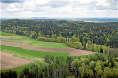 Das Waldgebiet Ochsenhau ist für die Bürgerinnen und Bürger von Althütte – hier am Bildrand der Ortsteil Waldenweiler – ein wichtiges Naherholungsgebiet. Die Gemeinde führt aber noch viele weitere Argumente gegen einen Windpark an dieser Stelle ins Feld. Foto: Alexander Becher
