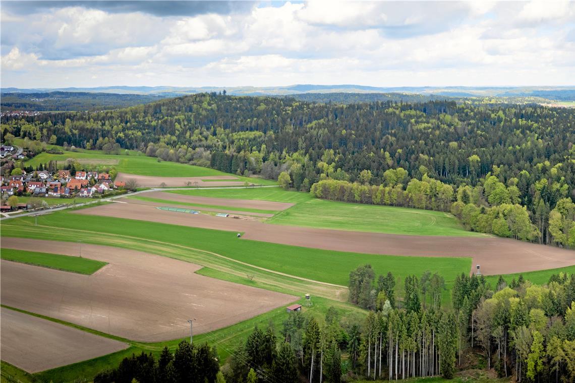 Das Waldgebiet Ochsenhau ist für die Bürgerinnen und Bürger von Althütte – hier am Bildrand der Ortsteil Waldenweiler – ein wichtiges Naherholungsgebiet. Die Gemeinde führt aber noch viele weitere Argumente gegen einen Windpark an dieser Stelle ins Feld. Archivfoto: Alexander Becher