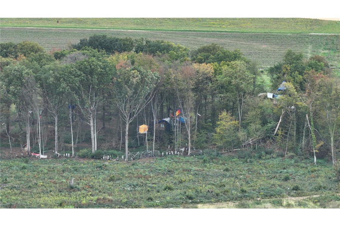 Das Waldstück soll geräumt werden.