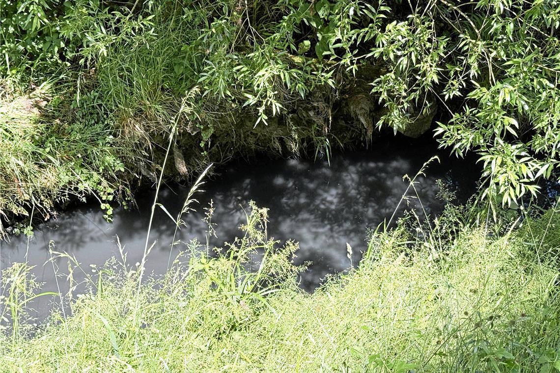 Das Wasser färbte sich durch den Schlamm schwarz. 
